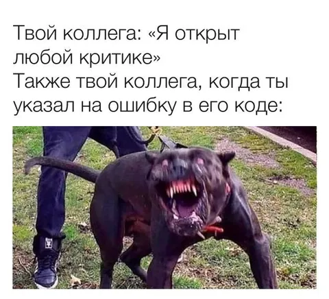 Коллега после найденной ошибки