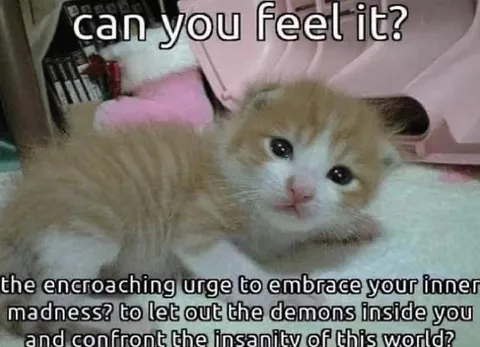 Embrace Your Inner Madness