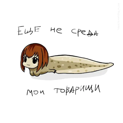 Ещё не среда, мои товарищи