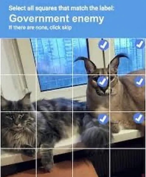 Government Enemy Cat CAPTCHA