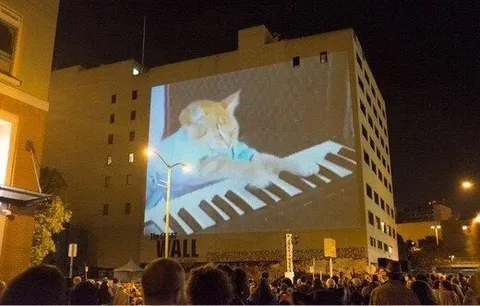 Keyboard Cat on Building