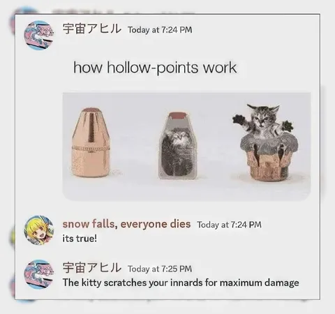 How Hollow Points Work