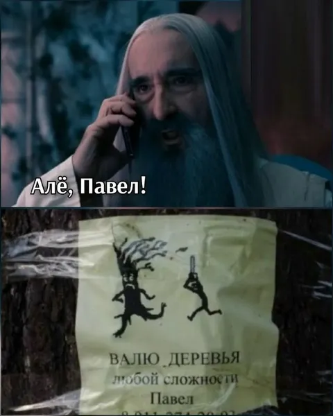 Алё, Павел! Валю деревья
