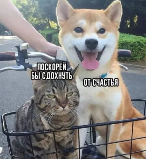 Сдохнуть от счастья