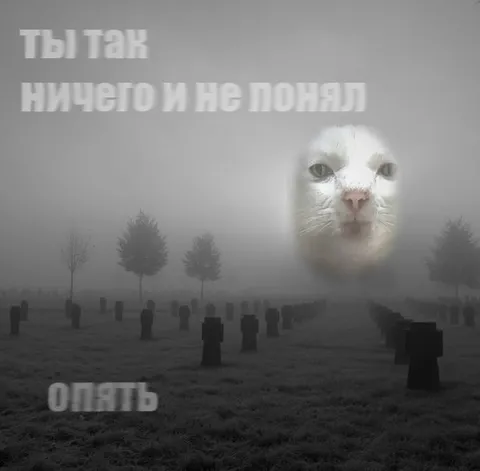 Ты так ничего и не понял опять