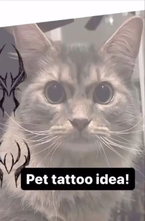 Pet Tattoo Idea Gone Wrong