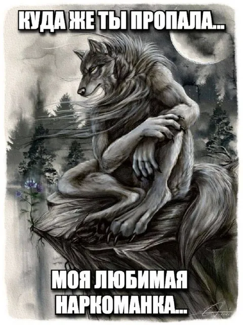 Где же ты пропала, моя любимая