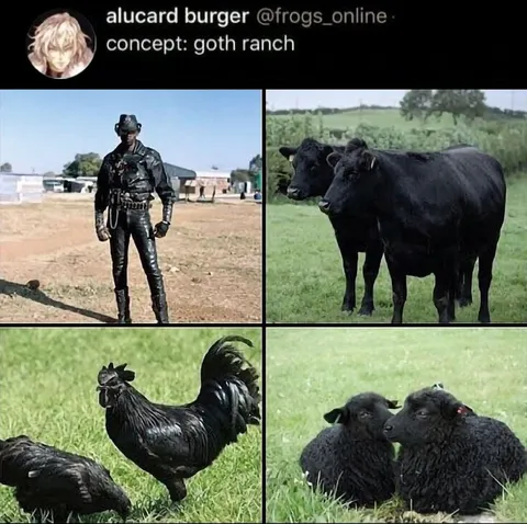 Goth Ranch Concept