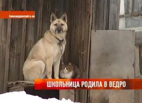 Школьница родила в ведро