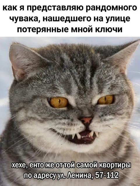 Кот нашёл ключи от квартиры