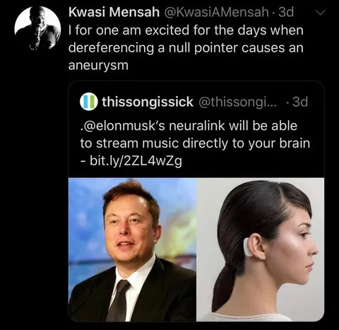 Neuralink Null Pointer Aneursym