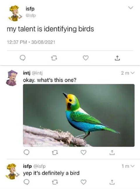 My Talent Is Identifying Birds
