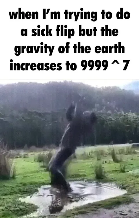 Gravity Ruins the Flip