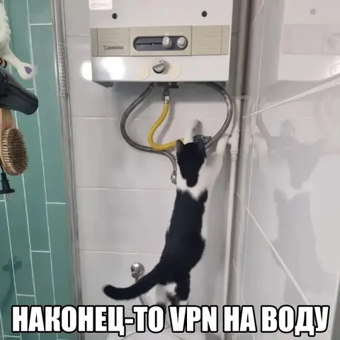 Кот подключает VPN к воде