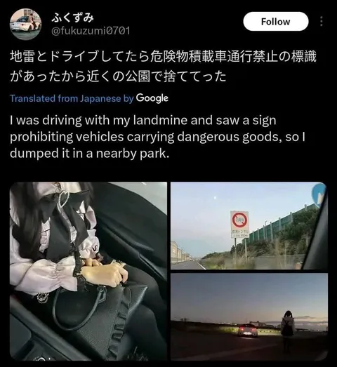 地雷とドライブして公園に捨てる