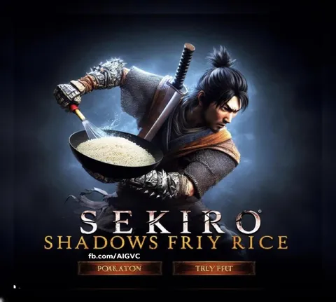 Sekiro Shadows Fry Rice