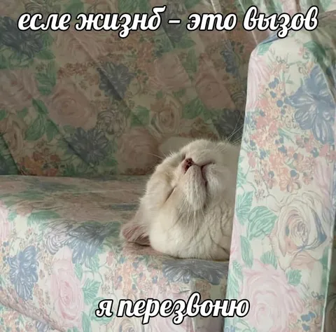 Если жизнь — это вызов