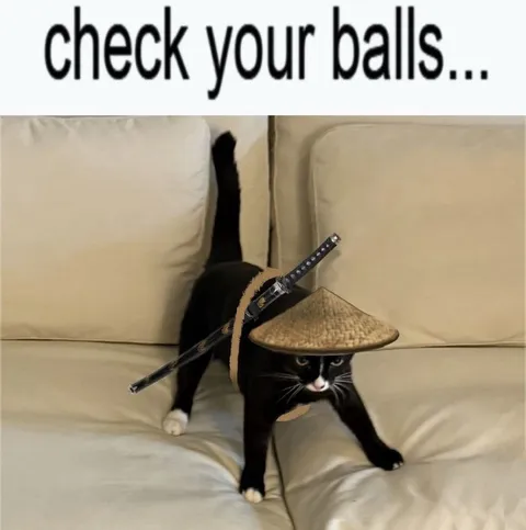 Check Your Balls Cat