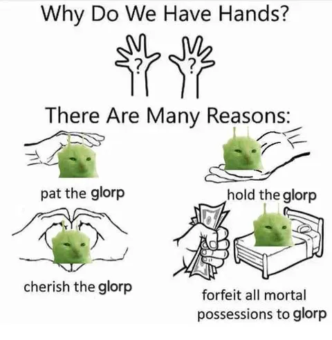 Why Do We Have Hands? Glorp