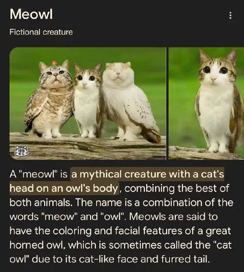 Meowl Cat Owl Hybrid