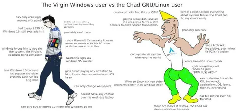 Virgin Windows User vs Chad Linux User