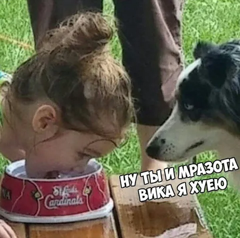 Вика, я хуею