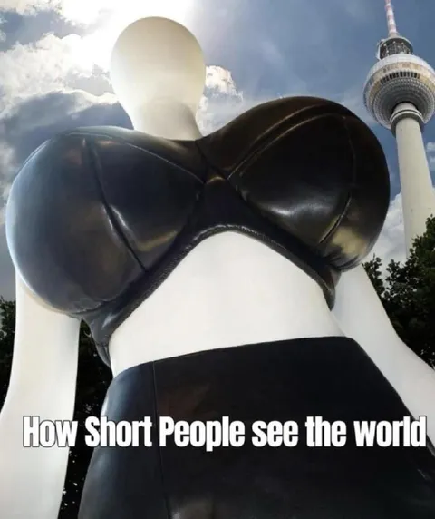 How Short People See the World