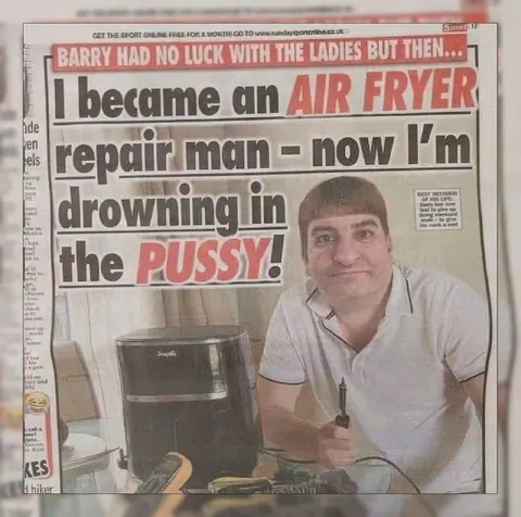 Air Fryer Repair Man