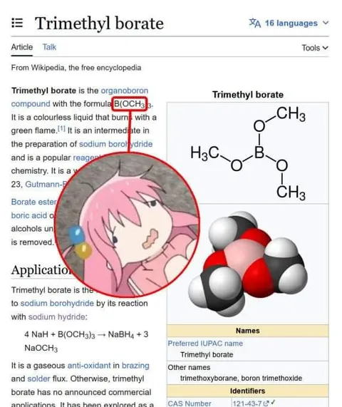Trimethyl Borate Anime Reaction