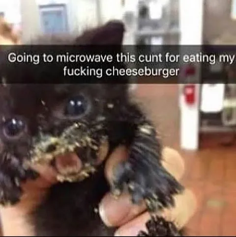 Microwave This Cunt