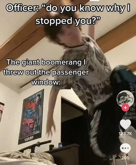 Giant Boomerang Traffic Stop