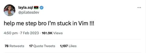 Stuck in Vim