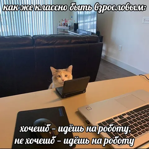 Как же классно быть взрослым