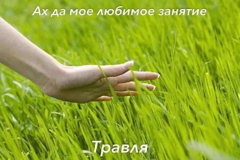 Любимое занятие — травля