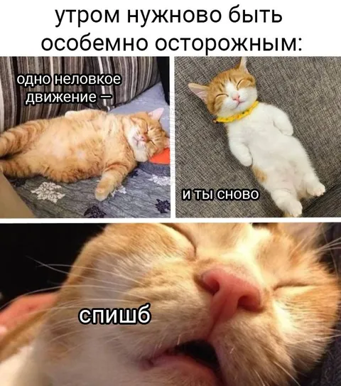 Утром особенно осторожно