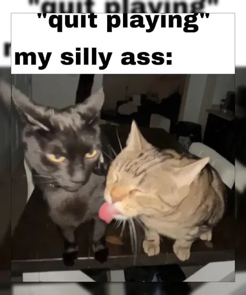 Quit Playing, My Silly Ass