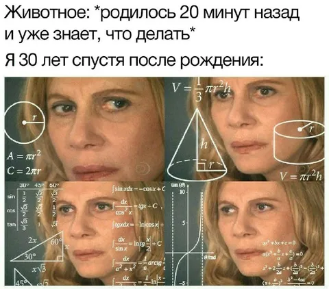 Животное через 30 лет
