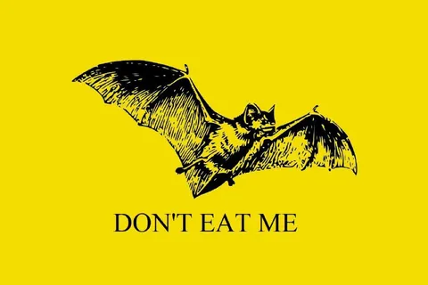 Bat Says Don't Eat Me