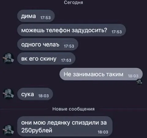Когда попросили задудосить человека