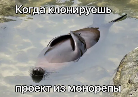 Клонируешь проект из монорепы