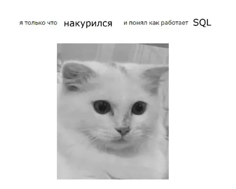 Понял как работает SQL