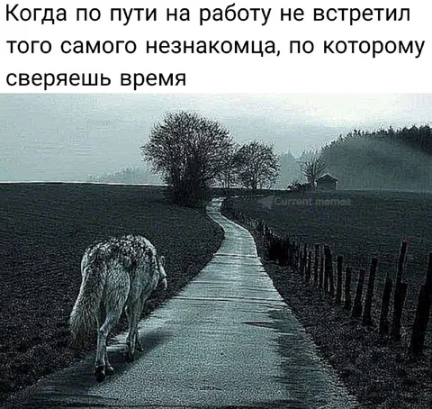 Когда не встретил незнакомца