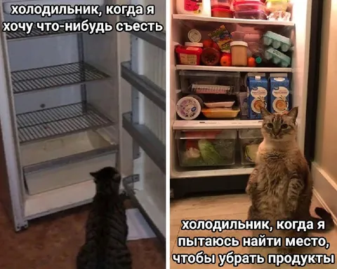 Холодильник до и после поисков