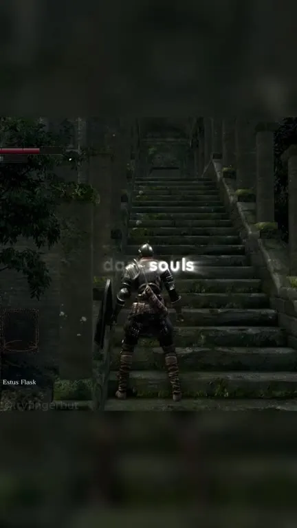 Dark Souls Run Until You Get Back In