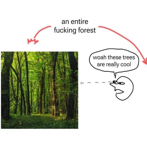 An Entire Fucking Forest