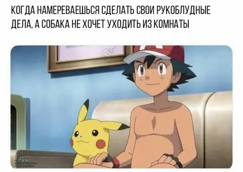 Собака не хочет уходить