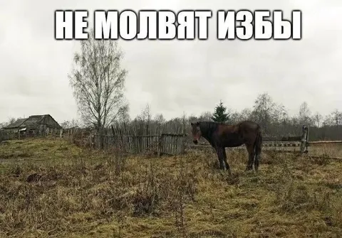 Не молдят избы