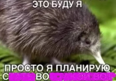 Это буду я, просто я планирую