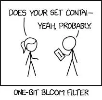 One-Bit Bloom Filter Confusion