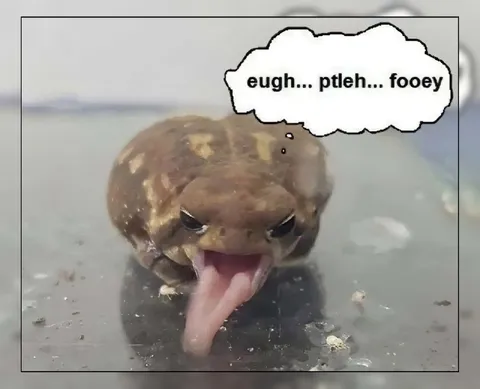Grossed-Out Frog Thinking